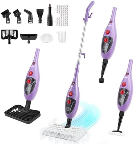 Ten in one steamer with detachable handheld