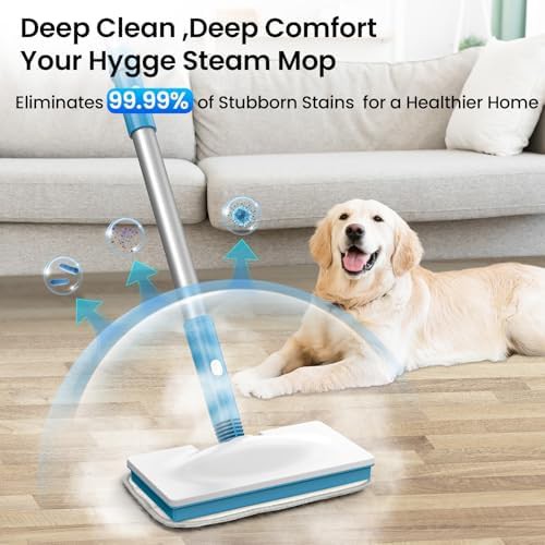 Handheld steam cleaner with adjustable settings — photo 3
