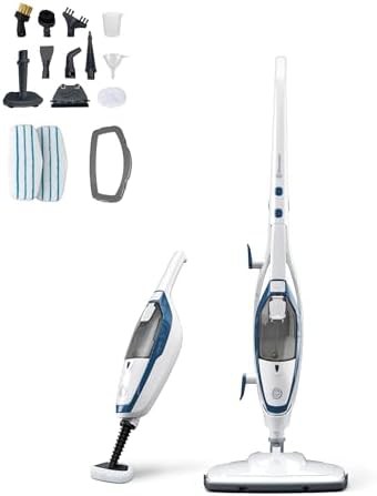 Two in One Carpet and Window Steamer