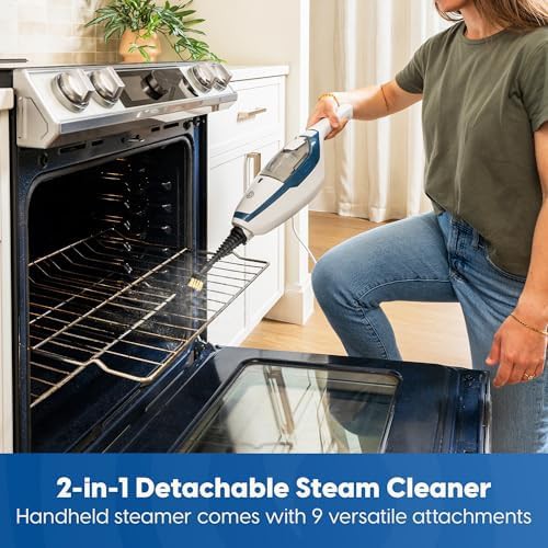 Two in One Carpet and Window Steamer — photo 3