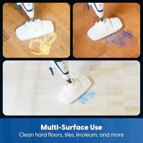 Two in One Carpet and Window Steamer — photo 4