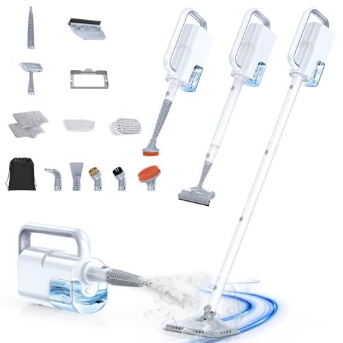 10-in-1 Steam Cleaner