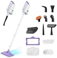 All in One Steam Cleaner for Home